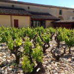 L'art en vigne - Château Val Joanis