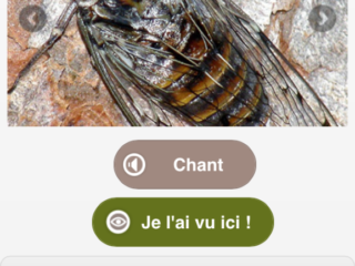 Appli ecobalade