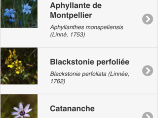 Appli ecobalade