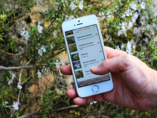 Appli ecobalade