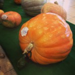Fete de la Courge Rians