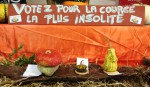 Fete de la Courge Rians