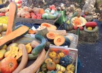 Courges