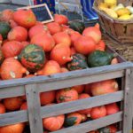 Fête de la courge Rians