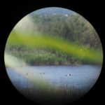 - Escales patrimoine Marignane - Balade nature -