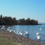- Escales patrimoine Marignane - Balade nature -