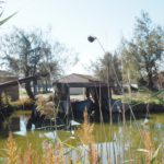 - Escales patrimoine Marignane - Balade nature -