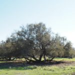 - Escales patrimoine Marignane - Balade nature -