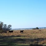 - Escales patrimoine Marignane - Balade nature -