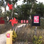 Le Festival Jours [et Nuits] de Cirque(s) Aix en Provence