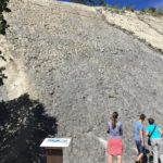 La dalle aux ammonites - Digne les Bains