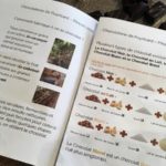chasse aux oeufs à la chocolaterie de Puyricard
