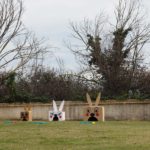 chasse aux oeufs à la chocolaterie de Puyricard