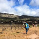 Marche nordique Aix en Provence Outdoor à Sainte Victoire