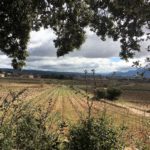 Marche nordique Aix en Provence Outdoor à Sainte Victoire