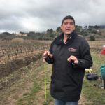 Comment tailler les vignes - Côte de Provence Sainte Victoire