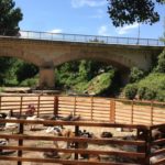 Ferme de la transhumance Aix les Milles