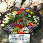 Les Journées des plantes d'Albertas -