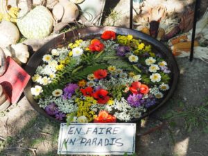 Les Journées des plantes d'Albertas -
