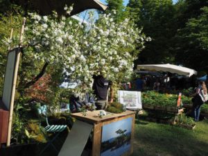 Les Journées des plantes d'Albertas -