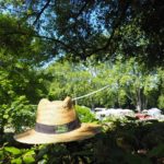 Les Journées des Plantes d'Albertas 2018