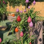 Les Journées des Plantes d'Albertas
