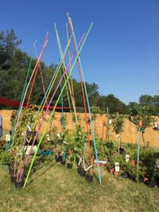 Les Journées des Plantes d'Albertas