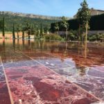 Mmmh ! Le Festival de la Gastronomie en Provence