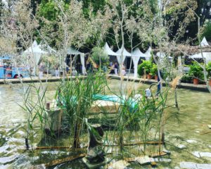 salon-vivre-cote-sud-2016-macigaleestfantastique.com