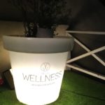 Expo David d'Alessandro - Villa Wellness
