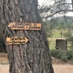 Domaine de Saint-Ser Sainte Victoire
