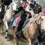 Fete du Cheval Calas Cabries Benediction procession